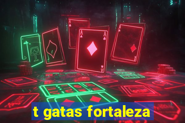 t gatas fortaleza